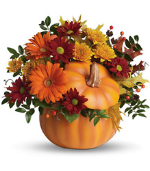 Teleflora's Country Pumpkin from Swindler and Sons Florists in Wilmington, OH
